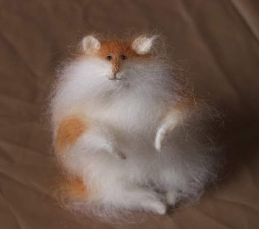 spotted hamster